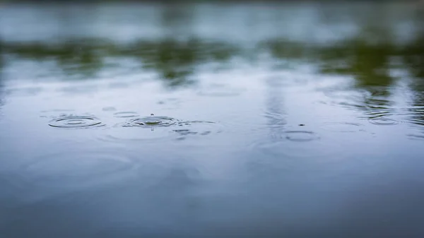Дощ Падає Воду Спокійний Дощ Озері Відображенням Дерев — стокове фото
