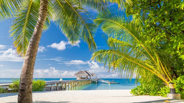 Maledivy Pláži Palmy Nad Ohromující Lagunou Bílou Písečnou Pláží Luxusní — Stock fotografie