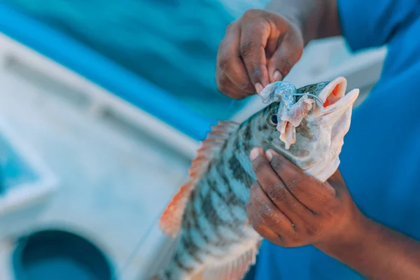 Big game fishing trolling on large ocean, sea fish. Wahoo, Kingfish, King Mackerel, Spanish Mackerel. Blue sea water and big fish on hook on fishing line. Sailing Yacht fishing near Maldives islands