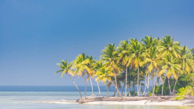 Güzel sahil. Etrafta palmiyeler olan güzel tropikal plaj manzarası. Yaz tatili ve tatil konsepti. Tropik plaj. Arka plan ya da duvar kağıdı için egzotik tropikal plaj manzarası. Seyahat için sakin sahil manzarası ilham verici, turizm rahatlatıcı.