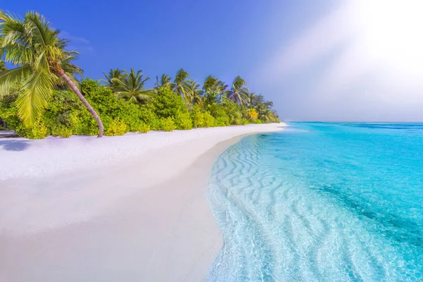 Úžasné Letní Plážové Panorama Exotické Ostrovní Pobřeží Palmami Bílým Pískem — Stock fotografie