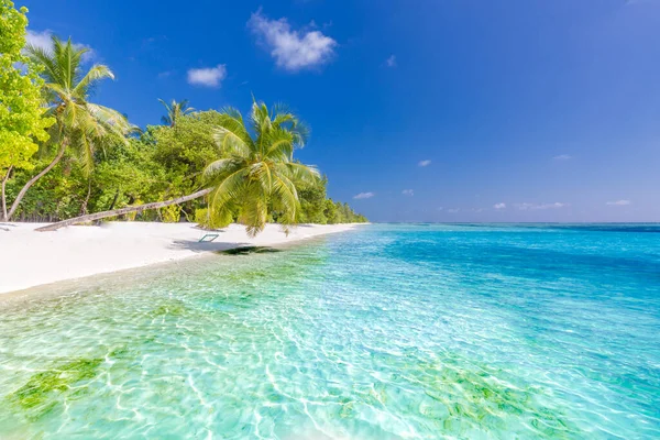 Tropická Pláž Pozadí Jako Letní Krajina Plážovým Houpačka Nebo Houpací — Stock fotografie