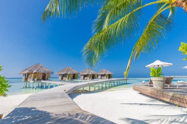 Maldivler adası, lüks su villaları ve ahşap iskeleli spa. Güzel gökyüzü ve bulutlar, palmiye yaprakları ve yaz tatili ve seyahat konsepti için plaj arka planı. Cennet günbatımı manzarası