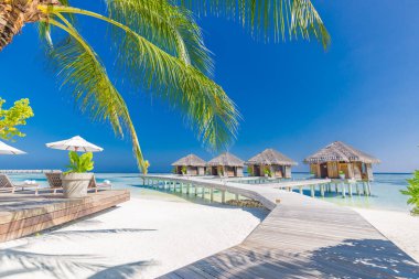 Maldivler adası, lüks su villaları ve ahşap iskeleli spa. Güzel gökyüzü ve bulutlar, palmiye yaprakları ve yaz tatili ve seyahat konsepti için plaj arka planı. Cennet günbatımı manzarası