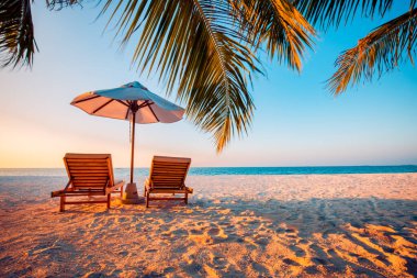 Yaz tatili ve tatil tasarımı. İlham verici tropikal plaj, palmiye ağaçları ve beyaz kum. Huzurlu manzara karamsar seyahat manzarası