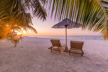 Güzel tropik gün batımı manzarası, iki güneş yatağı, dinlenme yerleri, palmiye ağacının altındaki şemsiye. Beyaz kum, ufku olan deniz manzarası, renkli alacakaranlık gökyüzü, sakinlik ve rahatlama. İlham verici sahil oteli