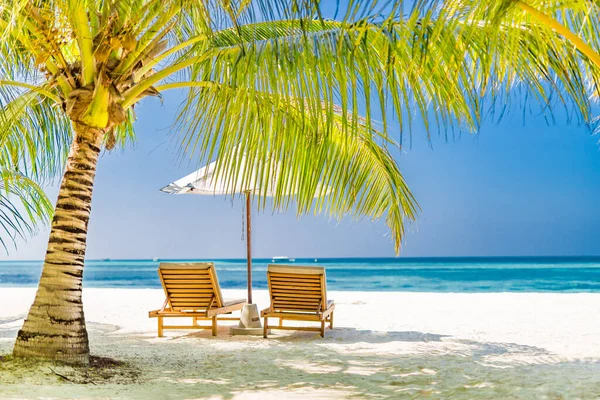 Bellissimo Banner Spiaggia Tropicale Sabbia Bianca Palme Cocco Turismo Viaggio — Foto Stock