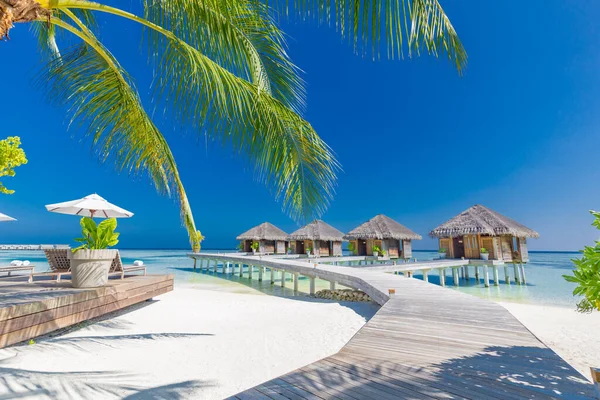 Остров Мальдив Роскошные Водные Виллы Курорта Спа Деревянным Пиром Небо — стоковое фото