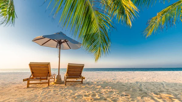 Bela Bandeira Praia Tropical Areia Branca Palmeiras Coco Turismo Viagens — Fotografia de Stock