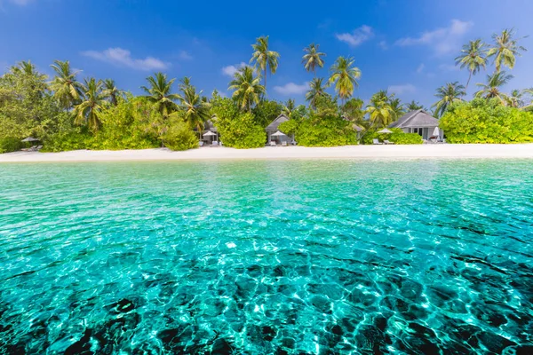 Tropischer Strandpanoramablick Sommerlandschaft Palmen Und Weißer Sand Horizont Des Ruhigen — Stockfoto