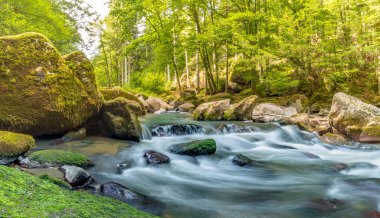 İnanılmaz orman doğası. Yaz güneşinin altında kayalarla dolu nehir akıntısı. Yeşil orman yemyeşil ve yeşillik içinde doğa harikalar diyarı küçük şelale. Güzel doğa manzarası