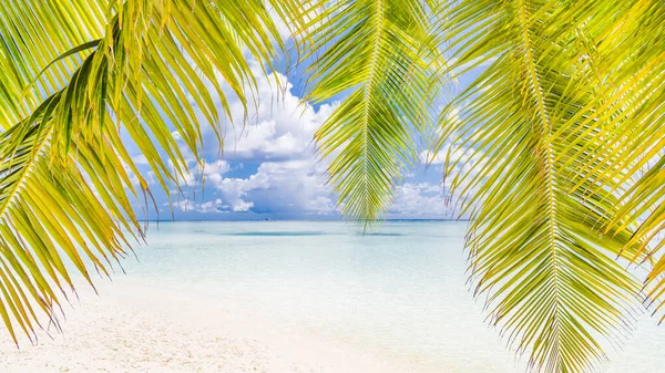 Paisaje Tropical Idílico Agua Turquesa Cielo Azul Cocos Hermosa Playa — Foto de Stock