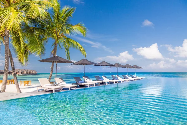 Açık Hava Turizmi Yüzme Havuzu Plaj Sandalyeleri Şemsiyelerin Altında Palmiye — Stok fotoğraf