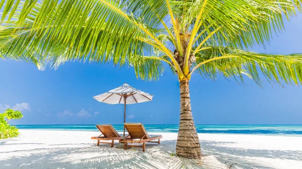 Tropisch Paradijs Strand Met Wit Zand Kokospalmen Reizen Toerisme Breed — Stockfoto