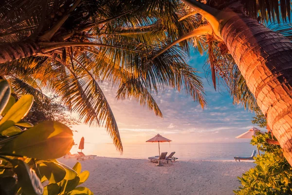 Salongene Maldives Strand Landskap Ved Paradis Tropisk Soloppgang Solnedgang Eksotisk – stockfoto