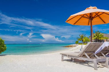 Tropik plaj arka planı yaz manzarası, şezlonglar, palmiye ağaçları ve plaj afişi için sakin deniz. Egzotik seyahat bölgelerinde tatil ve tatil kavramı