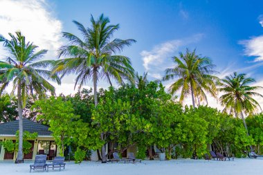 Plaj yatakları mükemmel tropikal sahildeki palmiye ağaçları arasında yumuşak günbatımı günbatımı ışığı. Tropik tatil beldesi, sahil köşkleri deniz kenarındaki palmiye ağaçları, yaz tatili, tatil beyaz kumlu plaj manzarası.