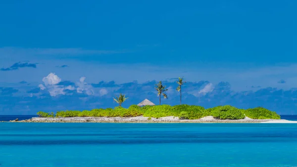 Ostrov Maledivách Malý Ostrov Palmami Modrou Oblohou Trosečník Koncept Dobrodružství — Stock fotografie