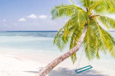 Arka plan veya duvar kâğıdı için ideal tropik plaj manzarası. Yaz tatili tatil beldesi konsepti için turizm tasarımı. Maldivler plaj konsepti