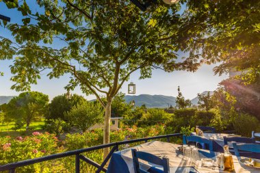 Yunan adası Cyclades, Yunanistan 'da deniz kıyısında romantik bir taverna. Avrupa. Santorini, Zakynthos, Mykonos, Paros geleneksel Yunan restoranı, güneşli hava, yaz tatili, tatil havası