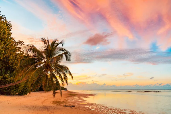 Spiaggia Tropicale Tramonto Sfondo Cielo Come Esotico Paesaggio Estivo Con — Foto Stock