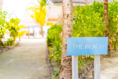 Pastel renkli ahşap yön işaretleri, plaj ve palmiye ağacı arka planı. Tropik plaj tatili ve tatil konsepti. Egzotik varış yeri, sahil ve deniz kıyısı yönü.