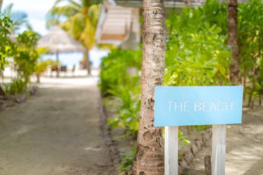 Pastel renkli ahşap yön işaretleri, plaj ve palmiye ağacı arka planı. Tropik plaj tatili ve tatil konsepti. Egzotik varış yeri, sahil ve deniz kıyısı yönü.