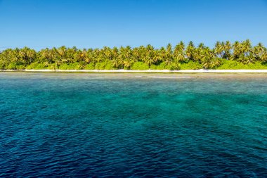 Tropik plaj, egzotik seyahat kıyıları, yaz tatilleri. Mercan resifli mavi deniz ve palmiye ağaçlarının altında beyaz kumlu sahil. Açık mavi gökyüzü, tropik plaj manzarası