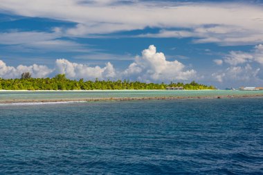 Mavi mercan denizi ve ada manzarası. Adaya yakın resifleri, beyaz kumları ve palmiye ağaçları olan inanılmaz deniz kıyıları. Tropik cennet, hava manzarası. Egzotik tatil beldesi, sörf konsepti, rahatlatıcı dalgalar ve doğa manzarası