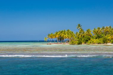Mavi mercan denizi ve ada manzarası. Adaya yakın resifleri, beyaz kumları ve palmiye ağaçları olan inanılmaz deniz kıyıları. Tropik cennet, hava manzarası. Egzotik tatil beldesi, sörf konsepti, rahatlatıcı dalgalar ve doğa manzarası