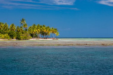 Beyaz kum, palmiye ağaçları, turkuaz okyanus güneşli yaz gününde bulutlu mavi gökyüzüne karşı güzel tropik plaj. Rahatlatıcı tatil için harika bir manzara, Maldivler adası. Cennet adası plajı