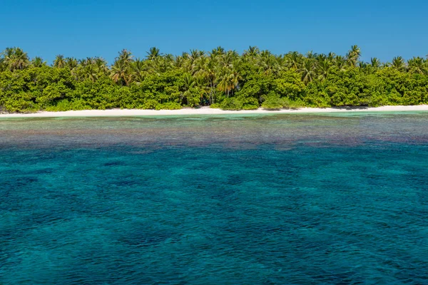 Тропічний Пляж Узбережжя Екзотичних Подорожей Літній Відпочинок Блакитне Море Кораловим — стокове фото