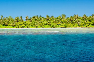 Okyanustaki güzel yeşil ada. Tropik tropik tropik plajlar, hindistan cevizi palmiyeleri sakin dalgalar ve mavi gökyüzü. İdealist egzotik doğa manzarası, mercan resiflerinin doğa manzarası ve sığ kristal berrak okyanus suyu. İnanılmaz doğa manzarası.