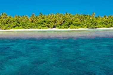 Cennet kumsalı. Tropik manzara, beyaz kum, plaj, palmiye ağaçları ve temiz su. Idyllic ve egzotik doğa manzarası