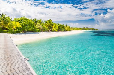 Plajı, denizi ve mavi gökyüzünde hindistan cevizi palmiyesi olan güzel tropikal Maldivler adası. Maldivler. Villa su üstünde.