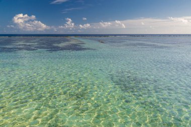 Gökyüzü ve denizin geniş ufkuyla rahatlatıcı deniz manzarası. Yumuşak gün batımı ışığı, sakin ve sığ okyanus suyu.