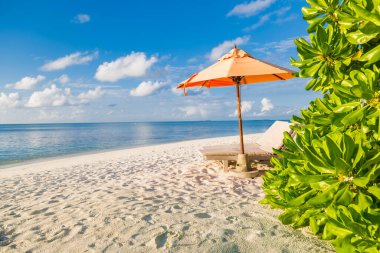 Lüks sahil beldesi, deniz kenarında kumlu plaj salları, deniz aşırı beyaz kumsallar, yaz tatili konsepti, tatil ve turizm tasarımı. Egzotik manzara, ilham verici eğlence afişi.