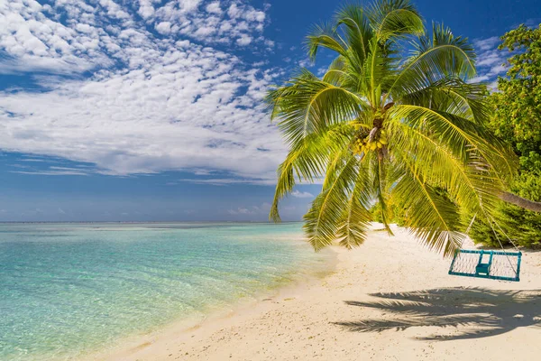 Tropisk Strandbakgrunn Som Sommerlandskap Med Strandsving Eller Hengekøye Palmer Hvit – stockfoto