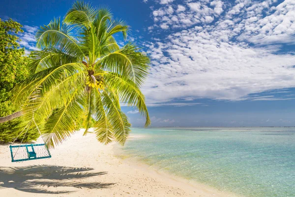 Tropisk Strandbakgrunn Som Sommerlandskap Med Strandsving Eller Hengekøye Palmer Hvit – stockfoto