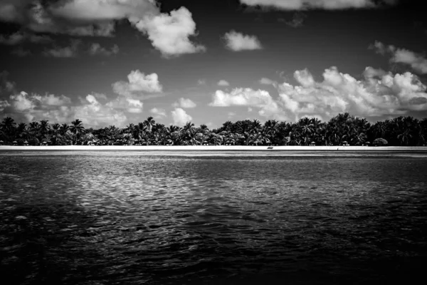 Escena Perfecta Playa Blanco Negro Atardecer Silueta Del Amanecer Palmera —  Fotos de Stock