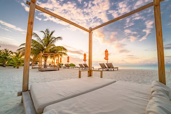Strandbaldachin Mit Liegestühlen Und Sonnenschirmen Tropischen Sandstrand Mit Kokosnusskresse Bei — Stockfoto