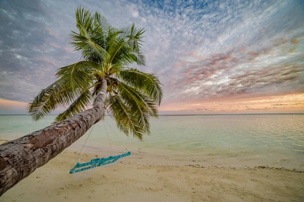 Paysage Tropical Coucher Soleil Plage Avec Balançoire Plage Hamac Coucher — Photo