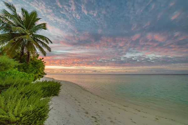 Lever Soleil Coloré Sur Plage Océanique Avec Cocotier Jungle Tropicale — Photo