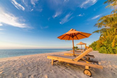 Güzel Maldivler adası plaj manzarası. Yaz tatili ve tatil geçmişi için sandalyeleri ve şemsiyesi olan lüks bir otel. Egzotik tropik plaj konsepti. Şezlong arka planı, cennet gibi seyahat yeri konsepti. Kumsal manzarası, günbatımı havası