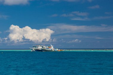Yaz tatili konsepti: turkuaz sular ve mavi gökyüzü manzaralı pencere. Deniz manzaralı palmiye yaprakları, tropik cennet adası plajı. turkuaz