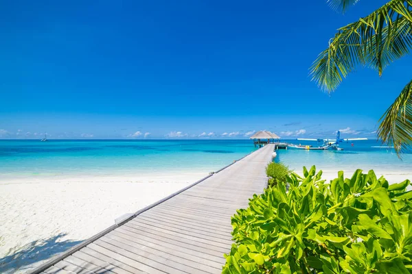 Spiaggia Tropicale Maldive Sentiero Del Molo Una Tranquilla Isola Paradisiaca — Foto Stock