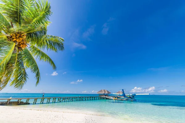 Spiaggia Tropicale Maldive Sentiero Del Molo Una Tranquilla Isola Paradisiaca — Foto Stock