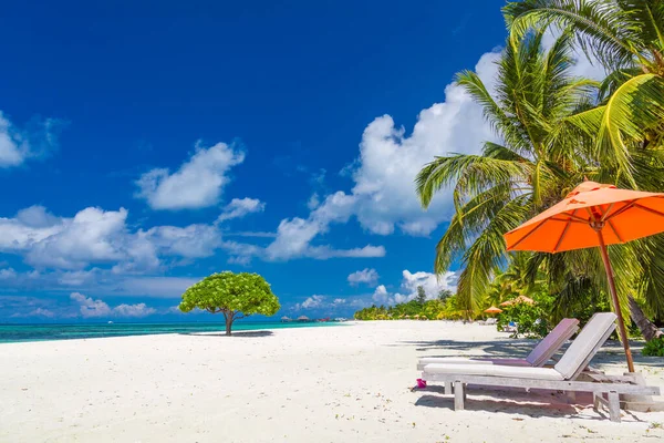 美丽的热带海滩横幅 白色的沙子和可可棕榈在旅游的广阔背景下形成了一个概念 美丽的海滩风景 加强色彩处理 豪华岛度假或度假 — 图库照片