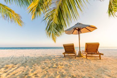 Güzel sahil. Deniz kenarındaki kumlu sahilde sandalyeler. Yaz tatili ve turizm için tatil konsepti. İlham verici tropikal manzara. Huzurlu manzara, rahatlatıcı plaj, tropikal manzara tasarımı