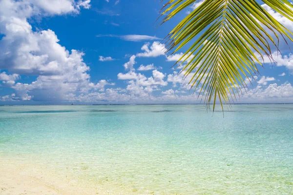 Paisaje Marino Verano Hermosas Olas Agua Azul Del Mar Día — Foto de Stock